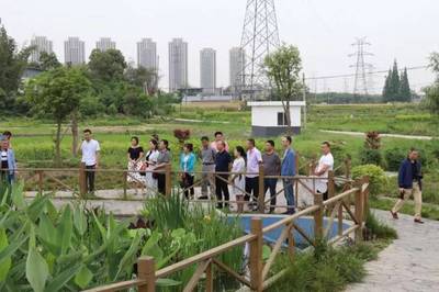 泰興鎮(zhèn)人大代表團開展《水污染防治法》專項視察，推進水污染治理工作