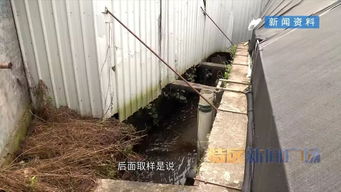 河長制推動河長治 集美區(qū)清退污染溪流養(yǎng)鰻場，啟動“三溪”全面治理