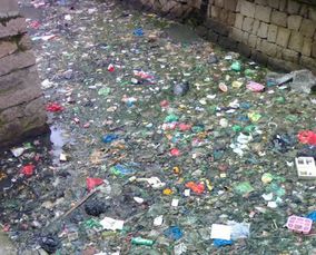 浙江環(huán)保成績單 2014年水污染治理的實(shí)踐與成效——從消滅6000里垃圾河看環(huán)保技術(shù)開發(fā)服務(wù)的推動