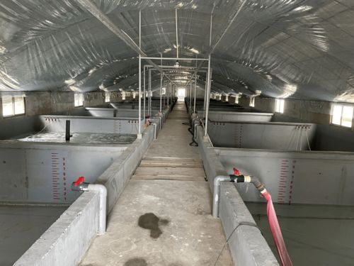 水產(chǎn)養(yǎng)殖與工業(yè)污染 數(shù)據(jù)背后的治水之路